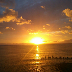 欧洲大码美女搞笑视频
